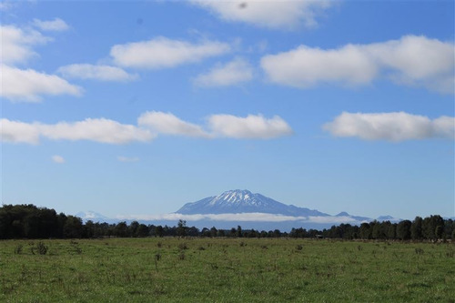 Imagen 26 de 30 de Agrícola En Venta En Puerto Varas