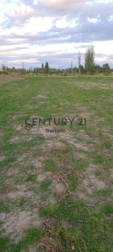 Imagen 15 de 15 de Gran Terreno En Venta En Junin De Casi 10.000 Metros