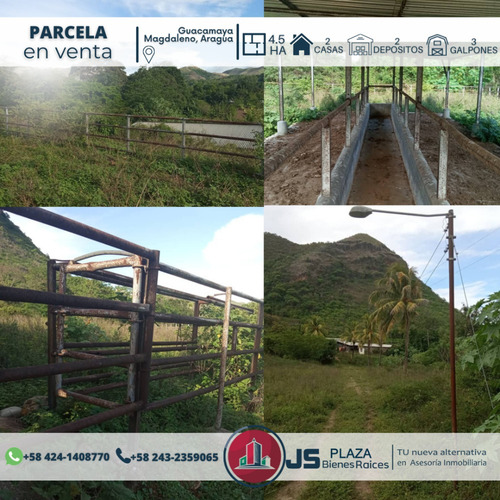 Imagen 3 de 7 de Parcela En Venta Magdaleno Aragua 04241408770