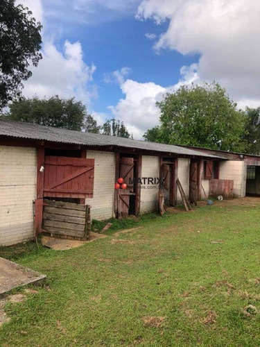 Imagem 11 de 23 de Chácara Com 2 Dormitórios À Venda, 32386 M² Por R$ 2.150.000,00 - Jardim O Bom Pastor - Campo Magro/pr - Ch0050