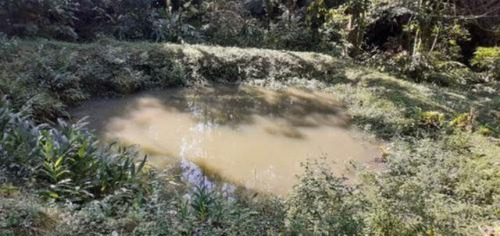 Imagem 8 de 11 de Chácara Em Peruíbe, No Bairro Armando Cunha, Analisa Veículo Como Parte Do Pagamento Ref: 8690/ac