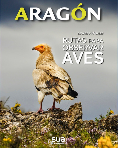 Rutas Para Observar Aves, De Viñuales Cobos, Eduardo. Editorial Sua Edizioak, Tapa Blanda En Español