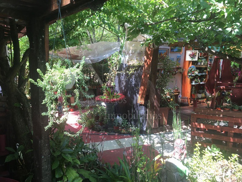 Imagen 6 de 30 de Casa + Vivero En Balneario Argentino
