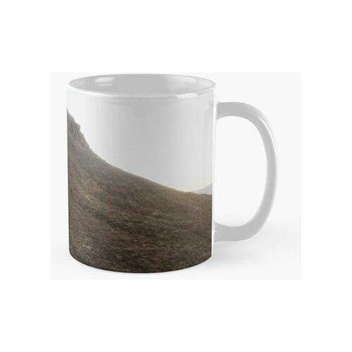 Taza Puesta Del Sol Del Cactus Del Desierto De Arizona Calid