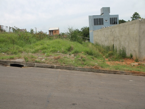 Imagem 1 de 10 de Terreno - Te00024 - 68718693