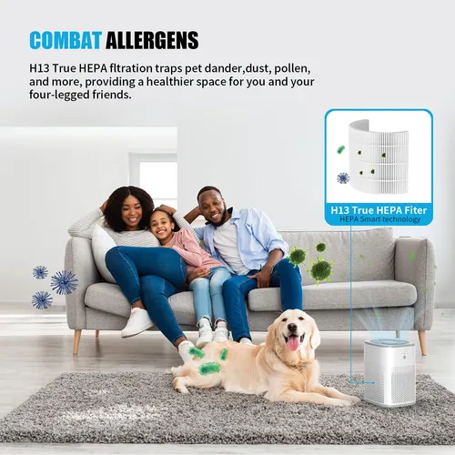 Purificadores De Aire Para El Dormitorio, Filtro Hepa Verdad