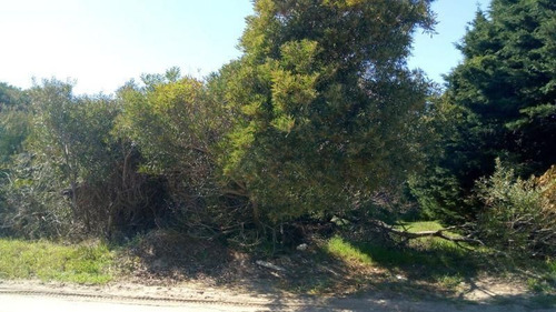 Terreno En Venta En Las Gaviotas