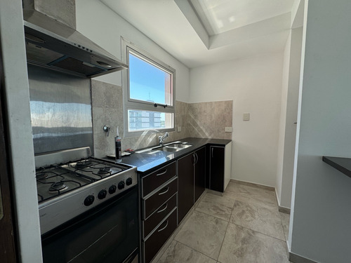 Hermoso Departamento De Dos Dormitorios En Alquiler - La Plata