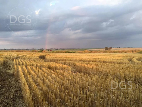 Imagen 1 de 11 de Campo De 107.000m2 En Gualeguay - Entre Rios