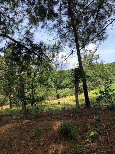 Imagem 6 de 16 de Terreno, Rancho Tucsons, Santana De Parnaíba - R$ 3.82 Mi, Cod: 235496 - V235496