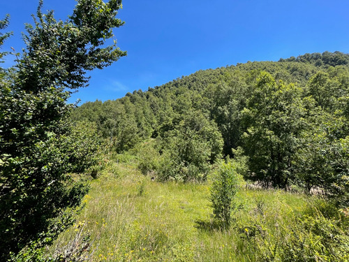 Parcela Grande En Caburgua Sector La Barda, 1 Hectárea