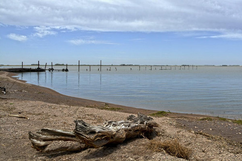 Imagen 10 de 30 de Exclusiva Isla- Laguna Del Monte- Guaminí
