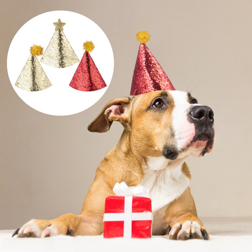 Juego De Sombreros De Cumpleaños Para Perros, Fiesta De Cump