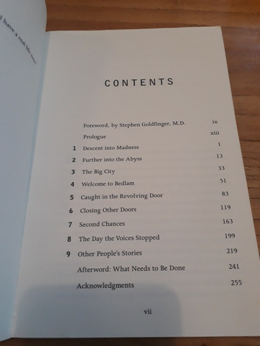 The Day The Voices Stopped. Ken Steele. Libro En Inglés