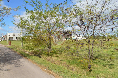 Imagen 29 de 30 de Terreno Lote En Venta Ubicado En Manuel B Gonnet, La Plata