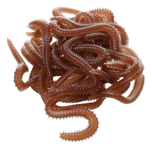 4 De Goma Señuelos De Pesca