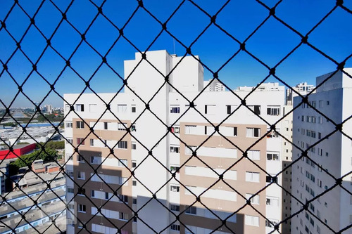 Apto Para Alugar Com 31m², 1 Quarto E Sem Vaga, Água Branca