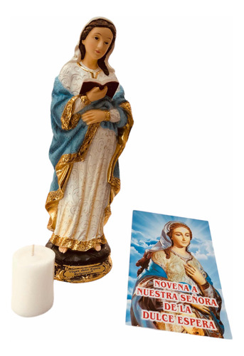 Virgen De La Dulce Espera En Porcelana  + Novena Y  Vela