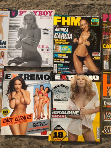 Playboy Lote 10 Revistas De Colección Envío Gratis Playboy (Usado)