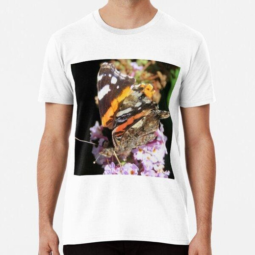 Remera Red Admiral  Algodon Premium 