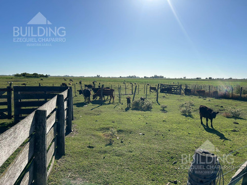 Campo En Venta - 58 Hectáreas- Saladillo