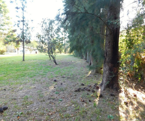 Imagen 8 de 21 de Venta Lote - Parquizado Y Con Perímetro- Parque Exaltación - Exaltacion De La Cruz