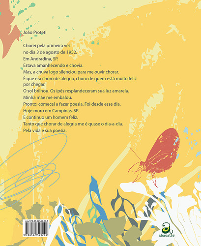 Sapato perdido, de Barreto, Antônio. Editorial Abacatte em português, 2010