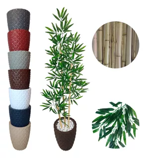 Bambu Da Sorte 145cm + Vaso Decoração