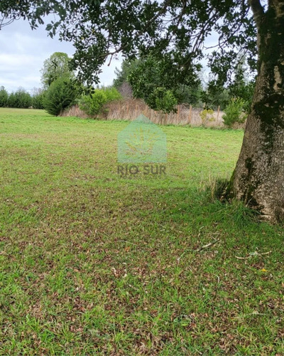 Parcela 0,5 Ha Rio Bueno