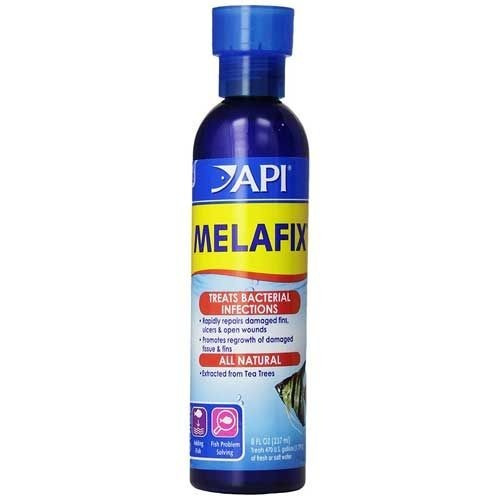 Api Medicamento Anti Bacterias Para Peces 473 Ml