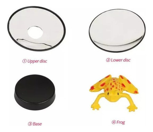 3d Ciencia Pequeño Experimento Científico Juguete Para Niños