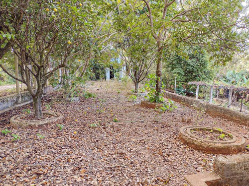 Imagem 5 de 15 de Lote / Terreno Em Atibaia Belvedere - Atibaia - 11423