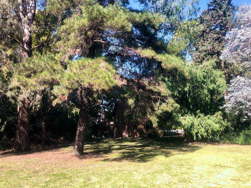 Imagen 13 de 24 de 3 Lotes En Venta 1326m2 M. Alberti. Pilar