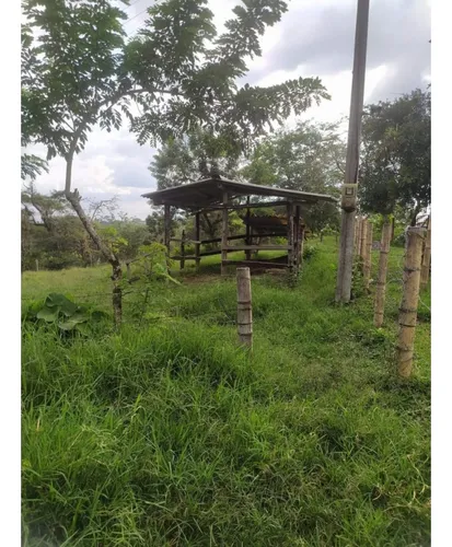 Venta Finca Circasia Via Armenia - 14 Cuadras