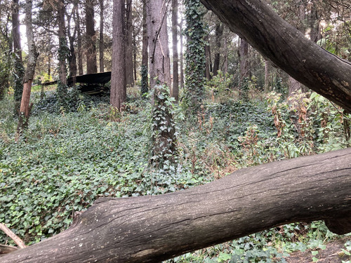 Hacienda San Martin (ex-hacienda Jajalpa).- A Tan Sólo Unos Minutos De La Cdmx