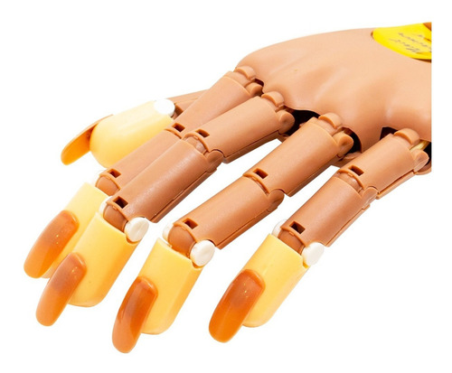 Mano De Práctica Articulada P. Prácticas Manicure + 100 Tips