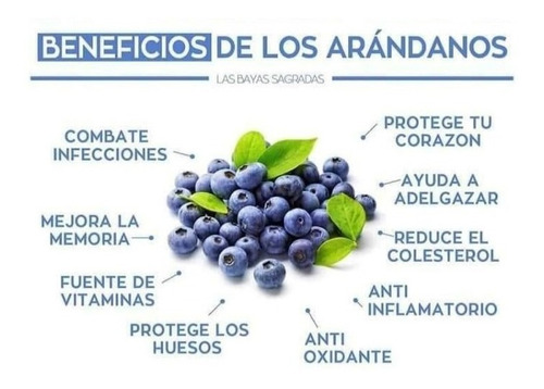 Bebida Instantanea De Proteinas Arandano Azul Blueberry Hgw