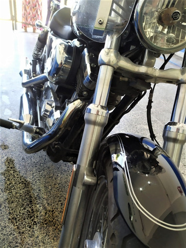 Imagen 7 de 16 de Harley Davison 1200 Cc Sportster Custom