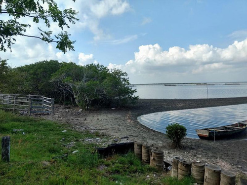 Venta Rancho 150 Hectareas Frente Laguna Tamiahua Veracruz