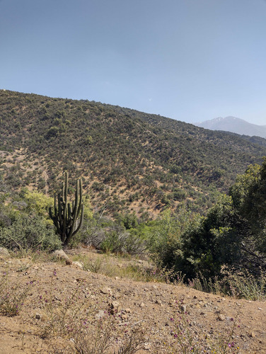 El Arrayan (94131)