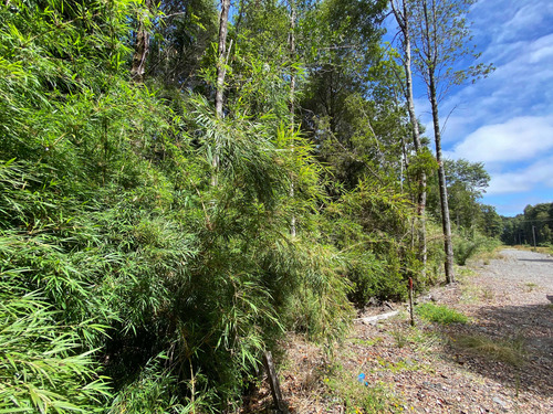 Venta De Parcela En Sendero Tres Puentes (70073)