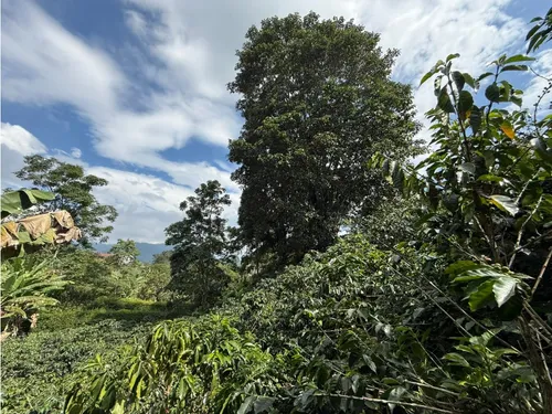 Se Vende Lote Vereda San Juan De Carolina