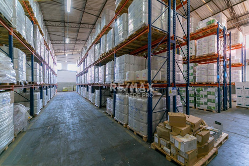 Galpão Para Alugar, 5000 M² Por R$ 75.000,00/mês - Jardim Eulina - Campinas/sp - Ga0568