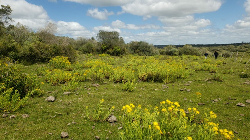 Vendo Campo