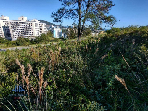 Imagem 6 de 19 de Terreno À Venda, 450 M² Por R$ 787.000,00 - Itacorubi - Florianópolis/sc - Te0280