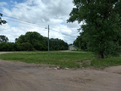 Imagen 5 de 23 de Terreno Sobre Ruta