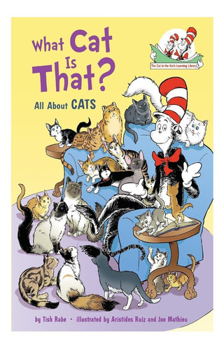 Libro Infantil En Ingles: What Cat Is That?