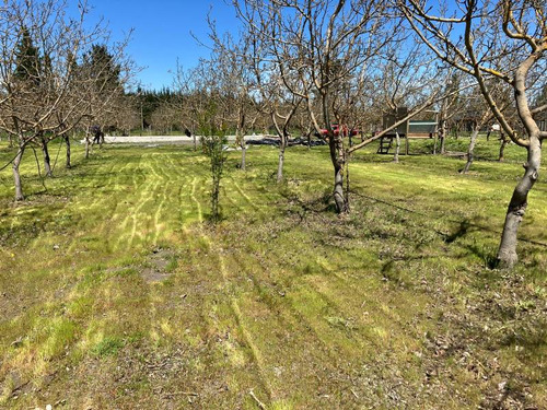 Hermosa Parcela Con  150 Arboles De Nogales Con Frutos