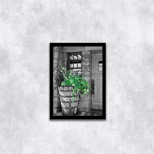 Quadro Fotografia Vaso Com Plantas 24x18cm
