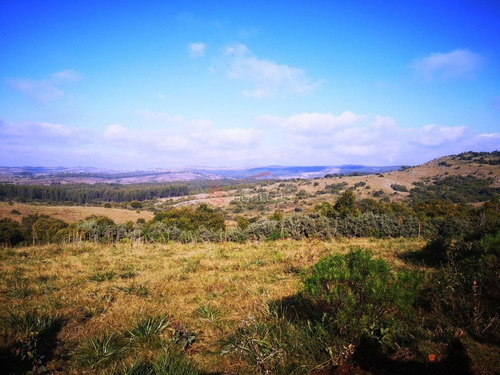 Imagen 18 de 30 de Venta De Chacra Con Vivienda, Ruta 12 Próximo A Pueblo Edén